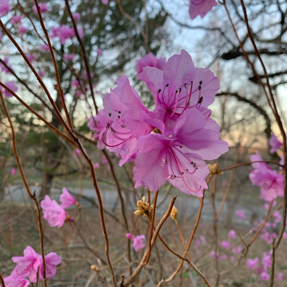 Meet your Posher, Tatiana